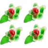 Storczyk zestaw Dora(zielony cieniowany) Średnica kwiatu:6cm
