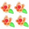 Storczyk zestaw Dora(pomarańczowo-różowy) Średnica kwiatu:6cm