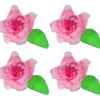 Storczyk zestaw Dora(różowy) Średnica kwiatu:6cm